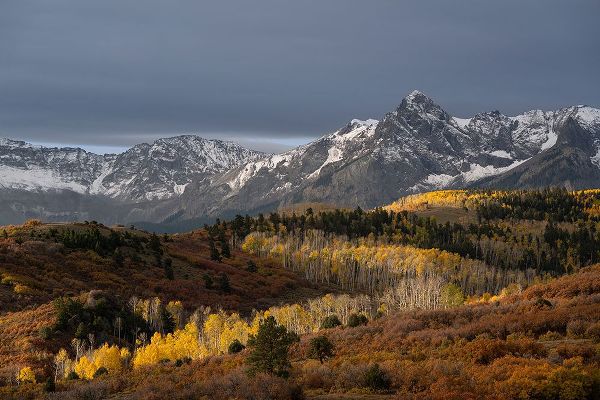 Jaynes Gallery 아티스트의 USA-Colorado-Uncompahgre National Forest Snowy Sneffels Range and autumn forest작품입니다.